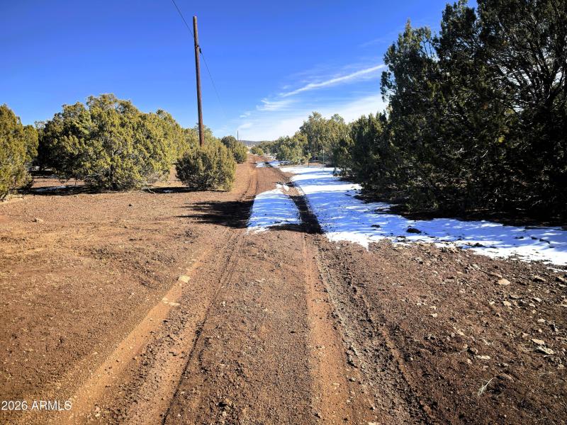 18) 67693-698e6b58115dd