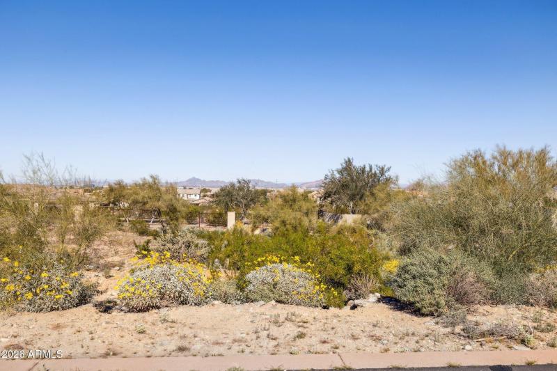 Surrounded by Natural Beauty