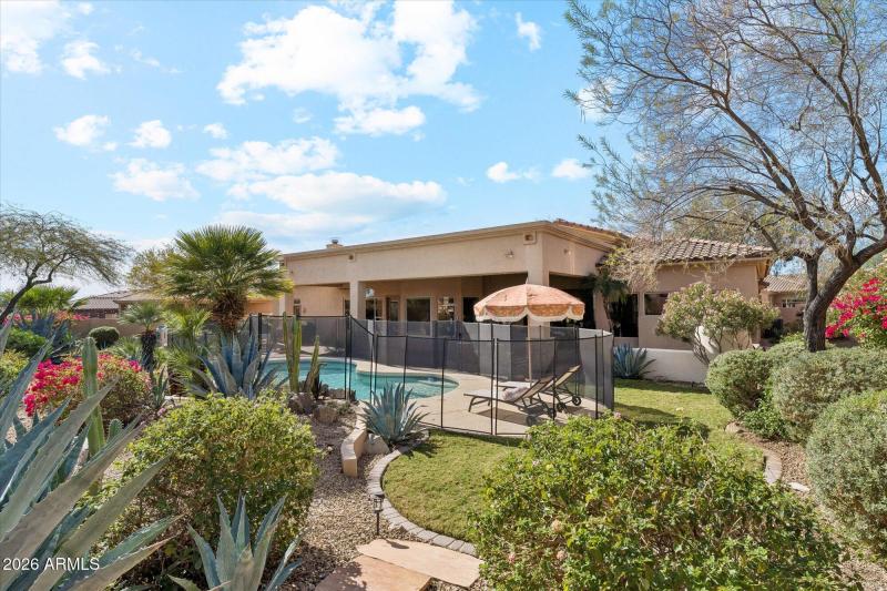 Lovely Lush Backyard