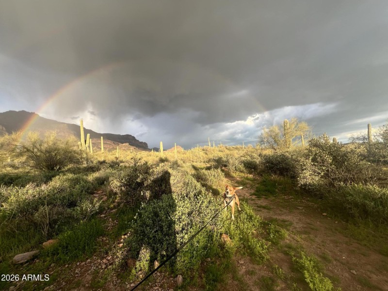 Private desert views