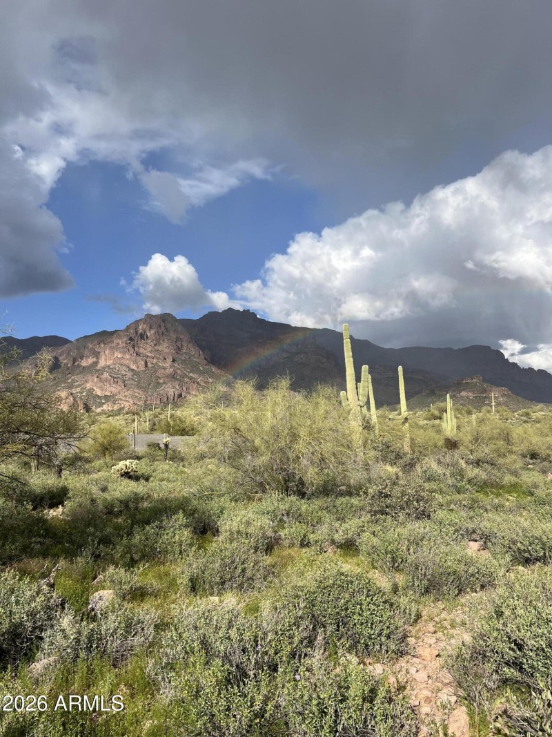 Natural Desert out your back door