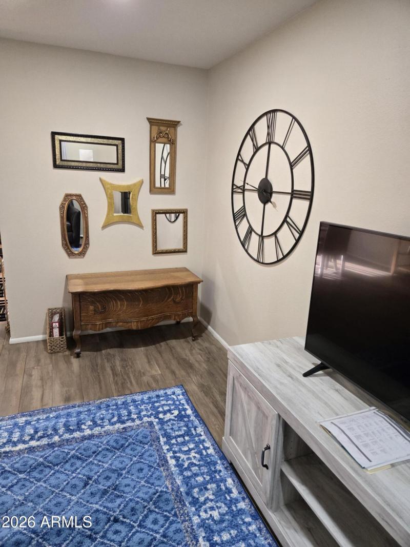 Wall of Mirrors in Living Room
