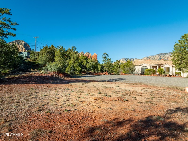 view at ground level