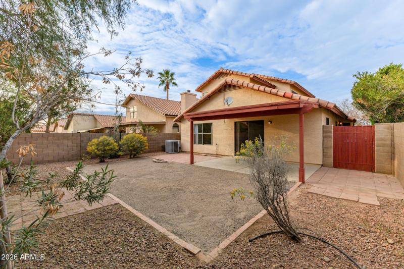 Low Maintenance Yard