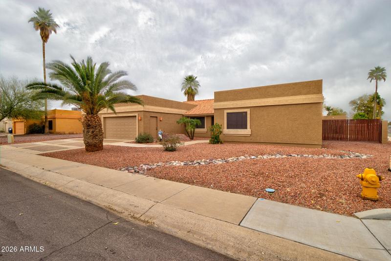 Low Maintenance Landscape