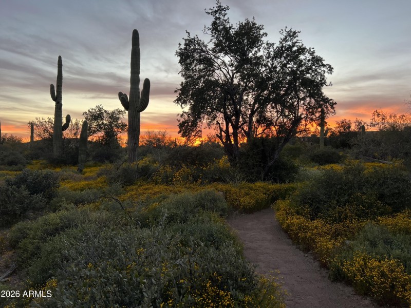 Gorgeous evening sunsets