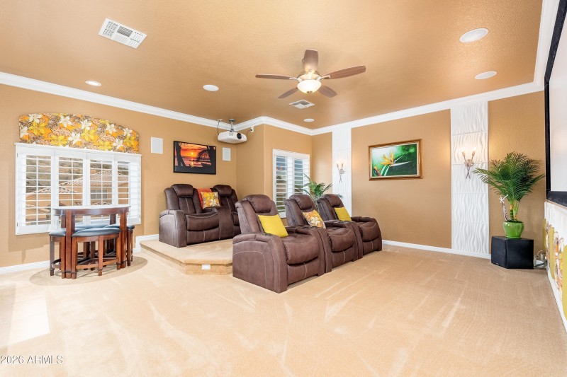 Theater / Bonus Room