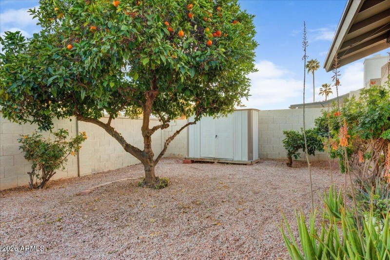 28-Orange Tree & Storage