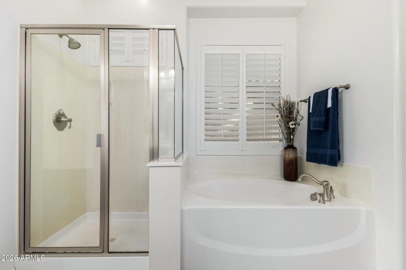 Primary Bathroom Poinsettia