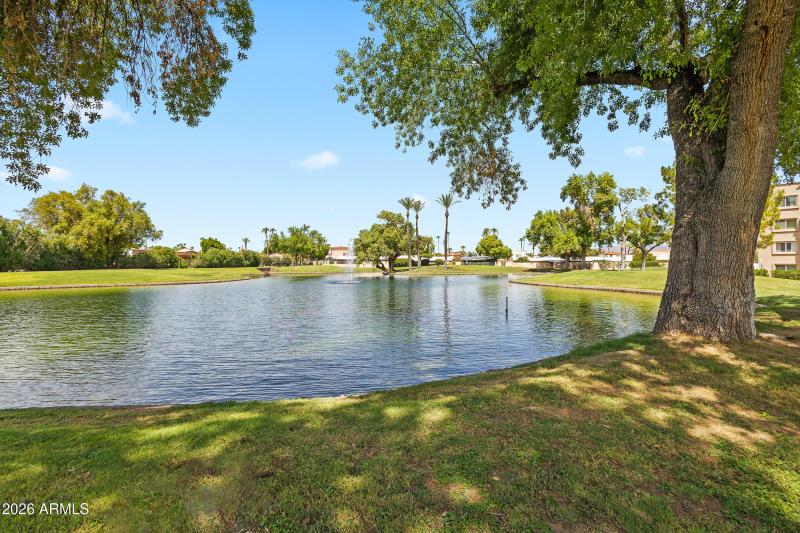 Lakeside Walking Paths