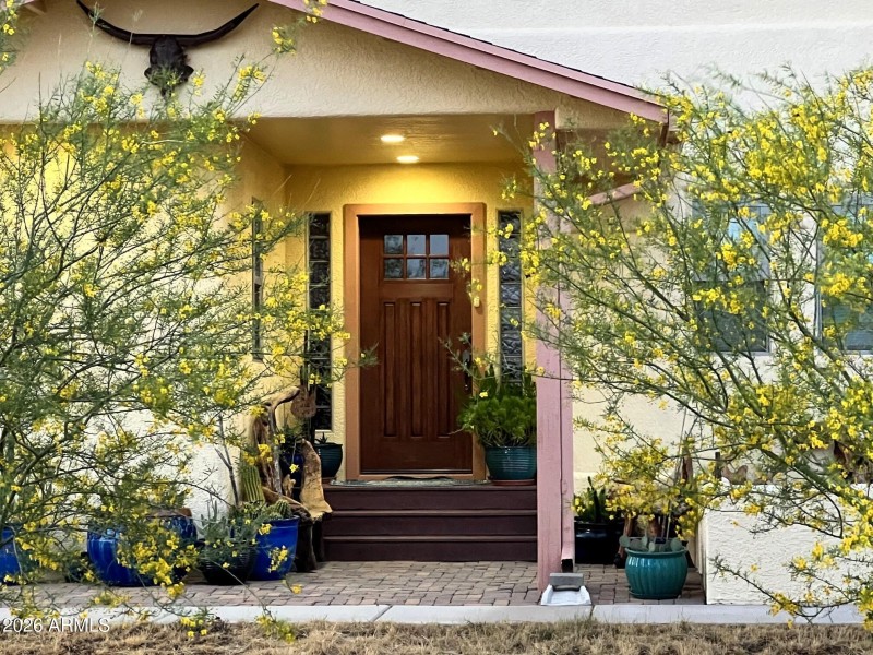 Flowering Palo Verdes
