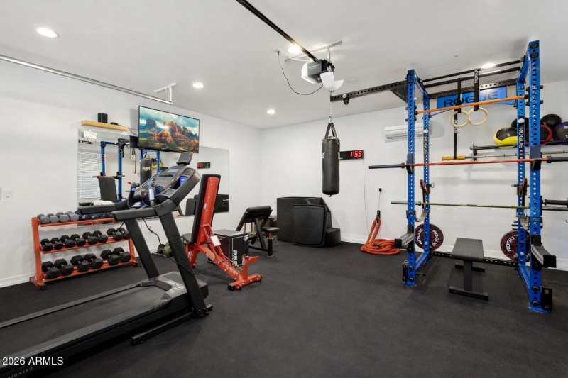 Cold plunge and full gym w mini split