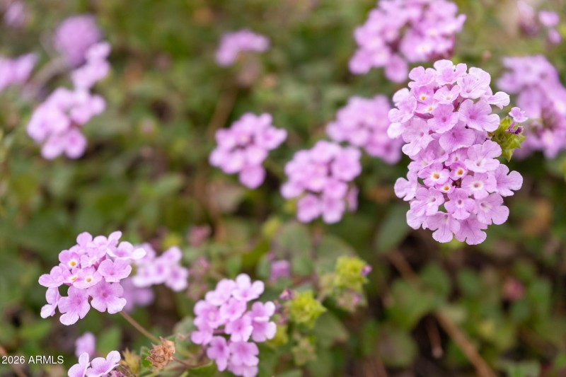 4107 E Pullman Rd - 53