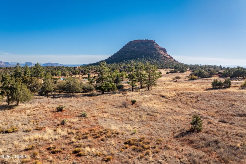 JL_60AltairAve-drone-02