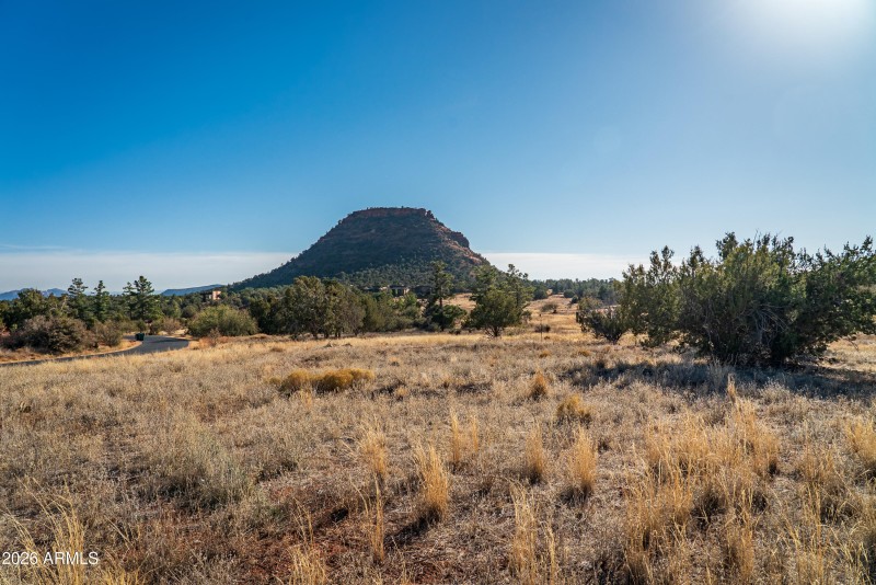 JL_60AltairAve-ground-01