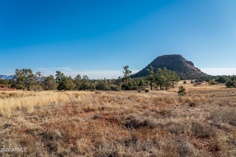 JL_60AltairAve-ground-03