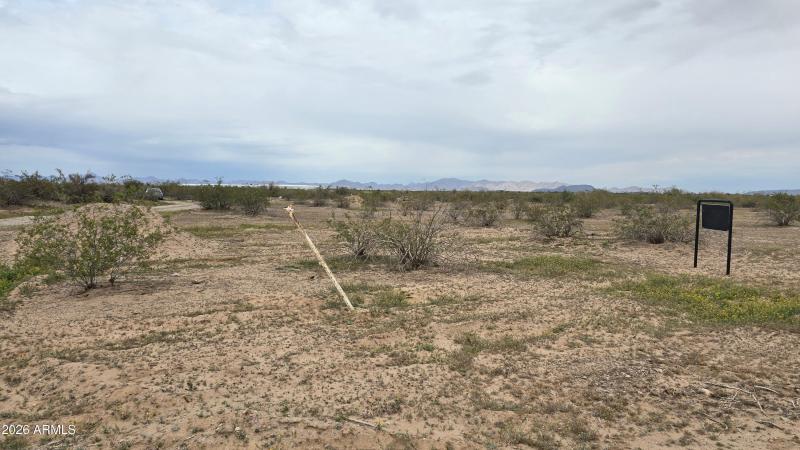 BLK- 20260213_120743