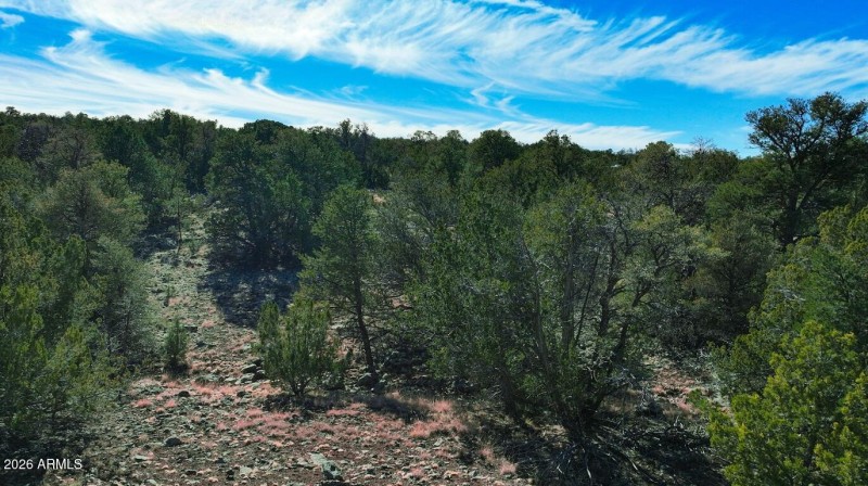 Screenshot 2026-02-18 093525