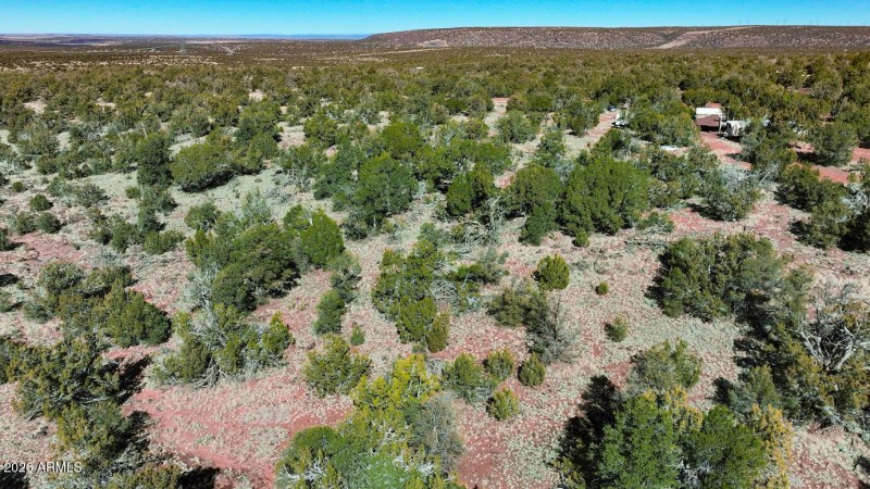 Screenshot 2026-02-18 093507