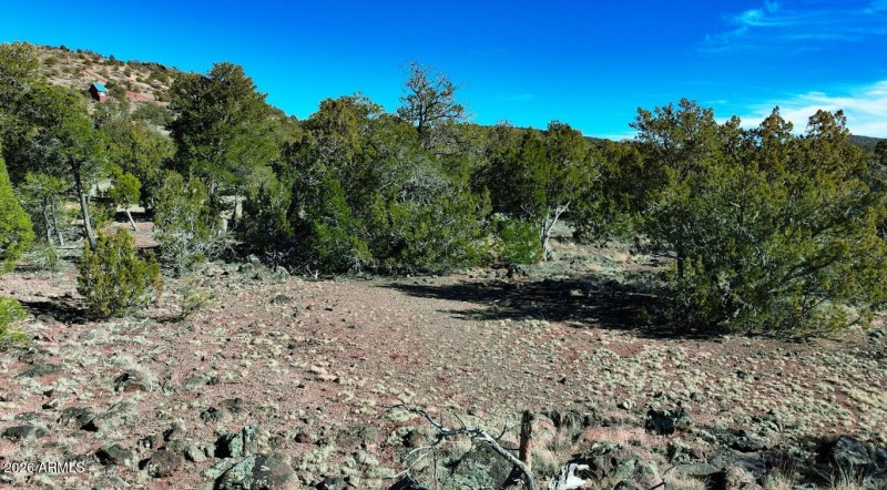 Screenshot 2026-02-18 093451