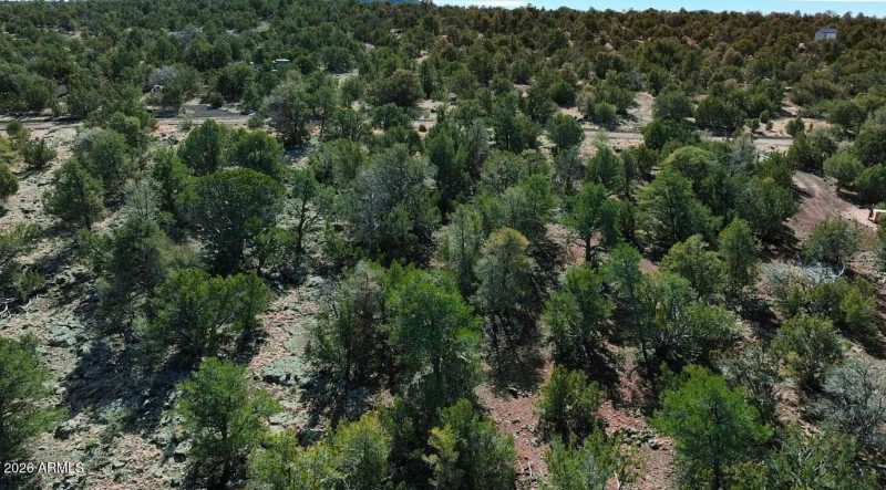 Screenshot 2026-02-18 093432