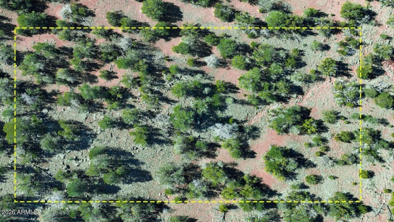 Screenshot 2026-02-18 093413