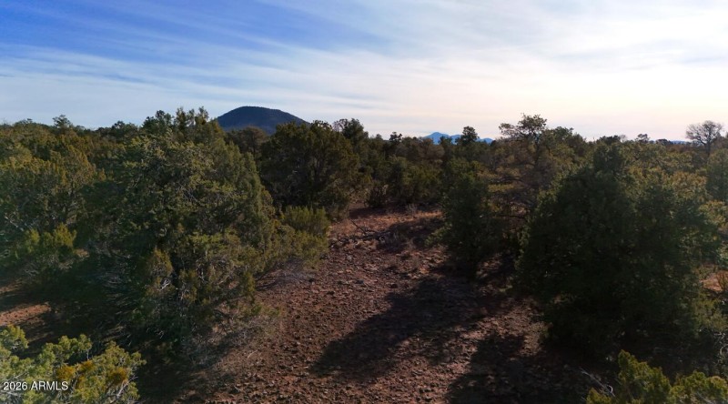 Screenshot 2026-02-18 093841