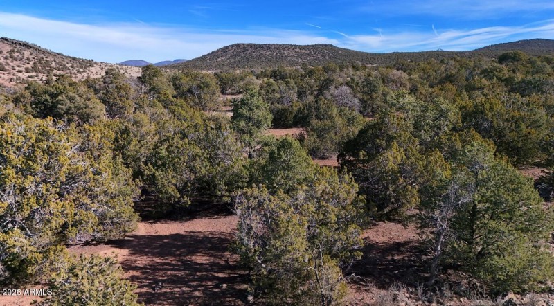 Screenshot 2026-02-18 093755