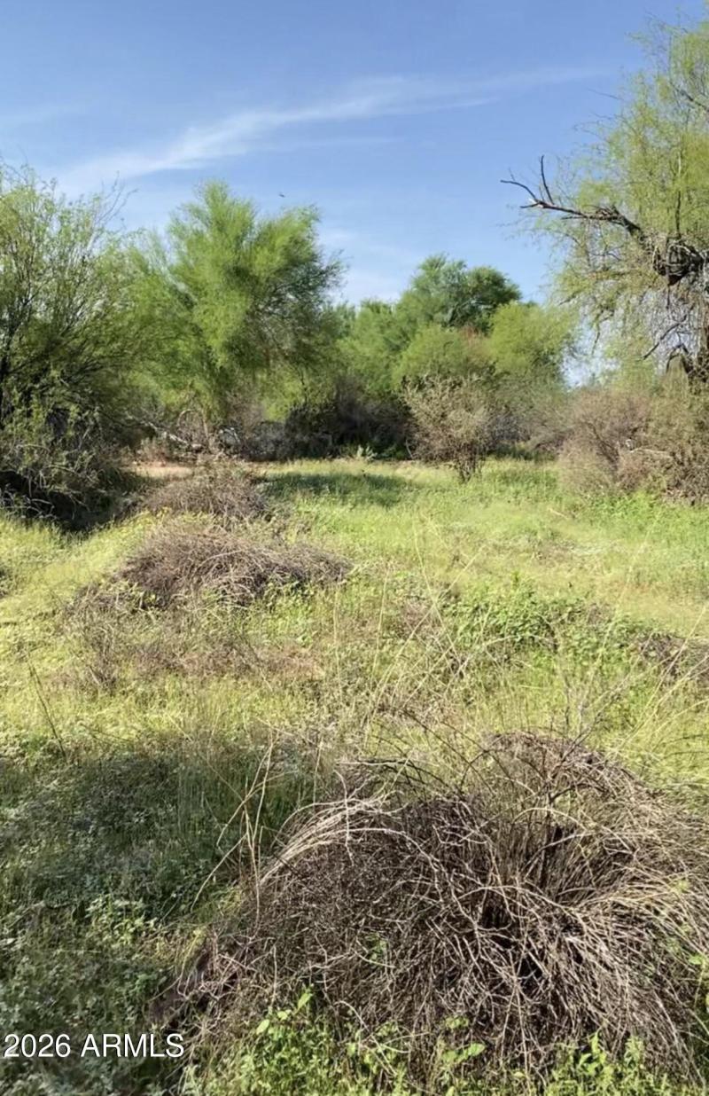 Screenshot 2026-02-18 at 9.40.28AM