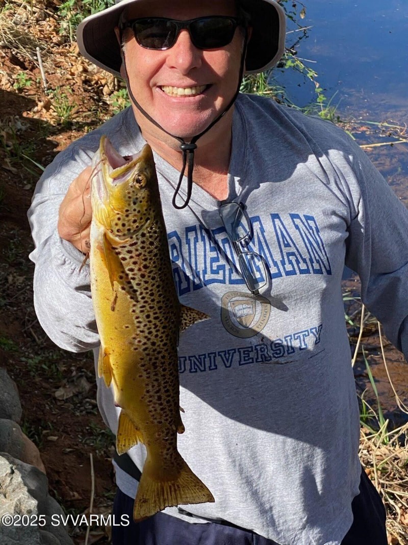 Cross Creek Brown Trout