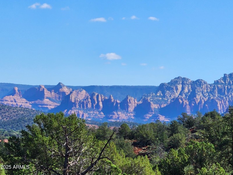 Distant view to East