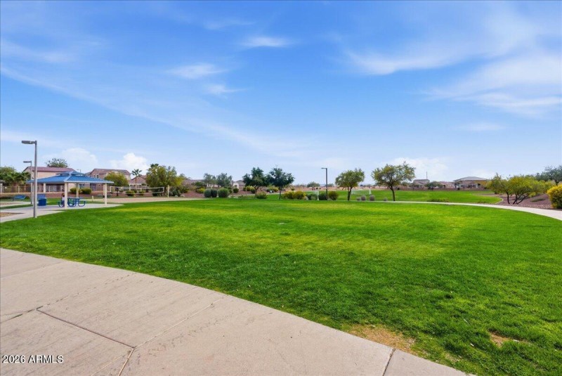 41-19861 W Buchanan_RedHogMedia