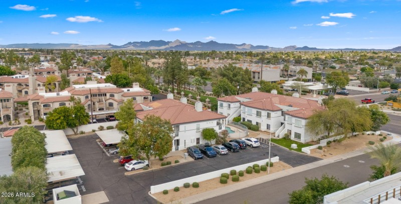 Community Drone View