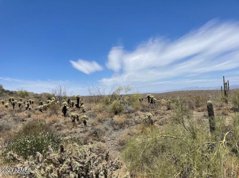 Screenshot 2023-07-07 083357