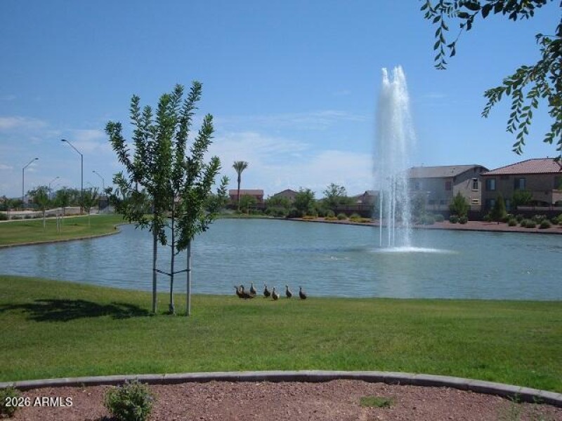 Lake with fountain