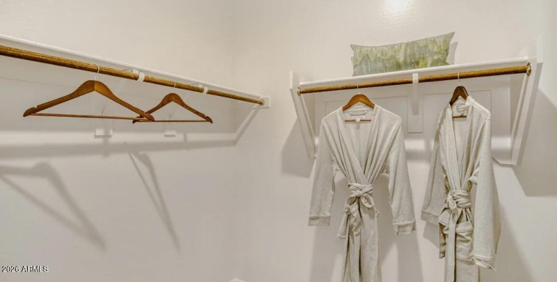 Owners Walk in Closet