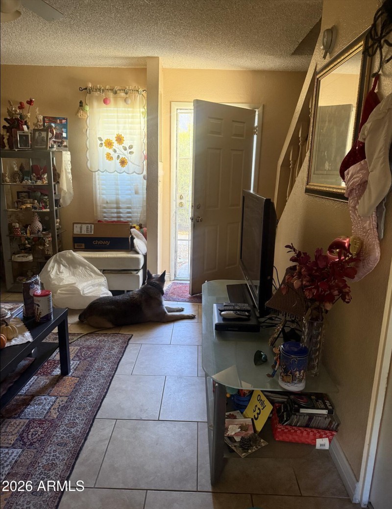 Screenshot 2026-02-19 at 1.23.51PM