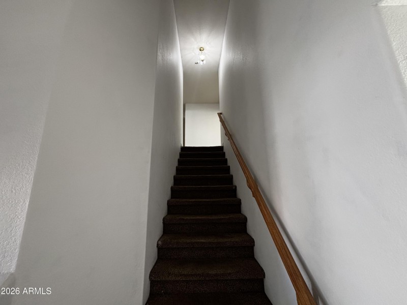 Photo Feb 19 2026, 12 38 32 PM