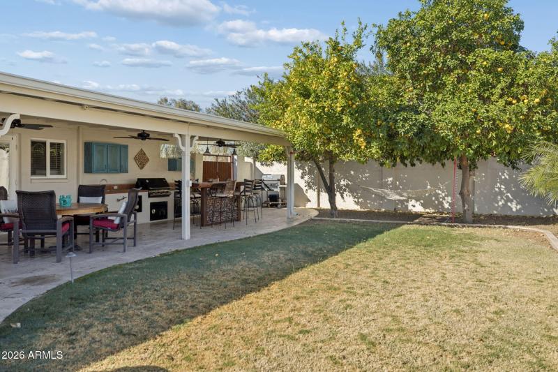 Irrigated Lawn & Citrus Trees