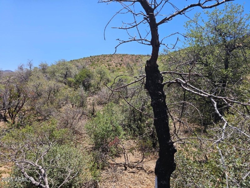 View to of hill to south