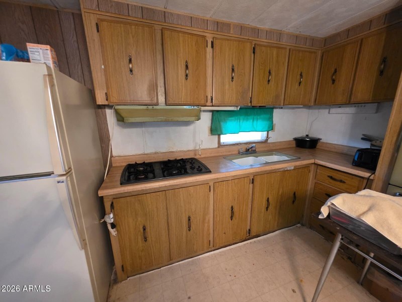 WhatsApp Image 2026-02-19 at 4.06.38 PM