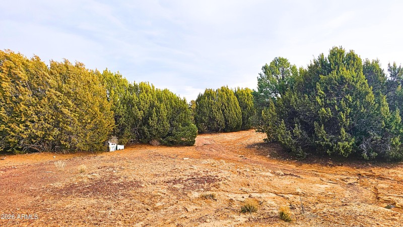 52aa7782-5411-402c-9d4d-1a29e6589155