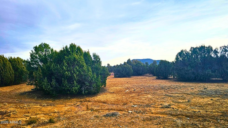 8abca957-db79-450e-9928-15df90114bd4