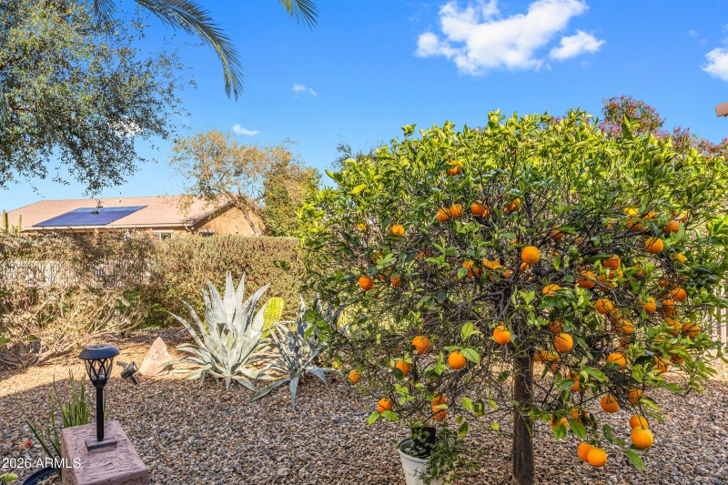 42806 Whispering Wind Ln-36