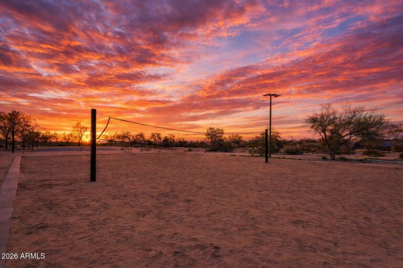 Community VolleyBall