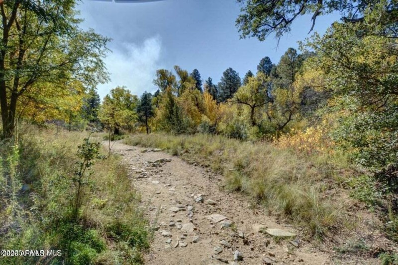 Trails to National Forest 2