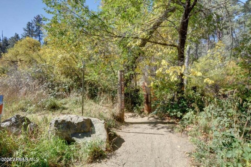 Trails to National Forest