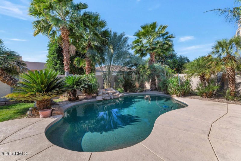Backyard Oasis
