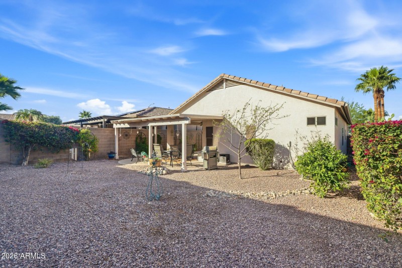 Low maintainence back yard