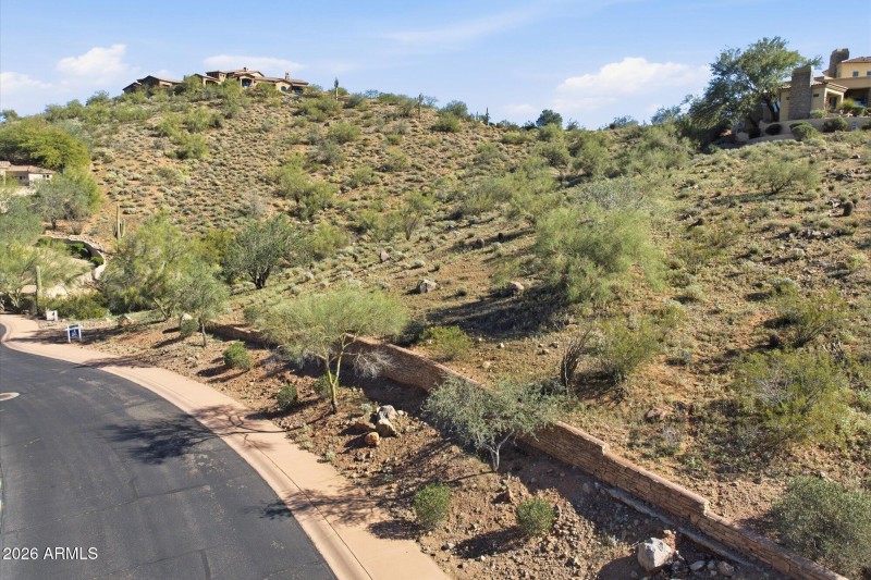 Wonderful Opportunity